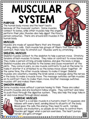 Grade 5 Muscular System Worksheets 2024