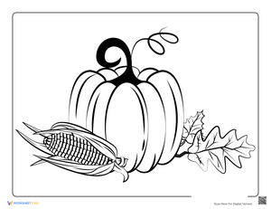 Harvest Pumpkin and Corn