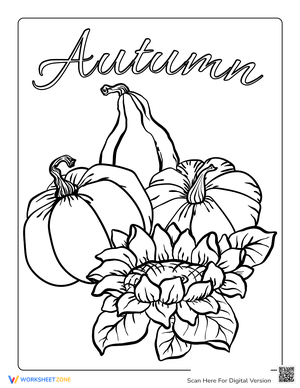 Fall Pumpkins and Sunflower