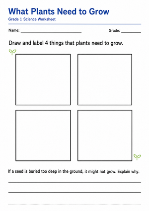 Grade 1 Plant Needs — Printable No-Prep Worksheet
