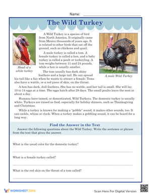 Read and Learn with the Wild Turkey Worksheet