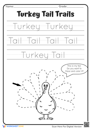 Turkey Tracing Fun