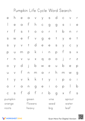 Pumpkin Life Cycle Word Search | Essential Grade 3 Science