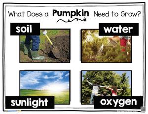 Pumpkin Growth Needs Worksheet | Grade 3-8 Essential