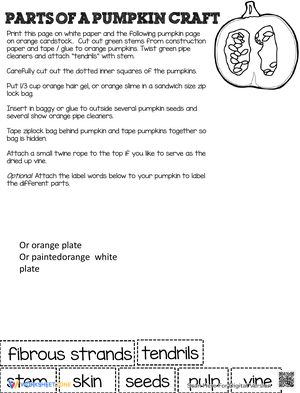 Parts of A Pumpkin Craft