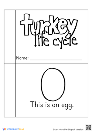 Turkey Life Cycle Coloring Book | Essential Grade 3 Science