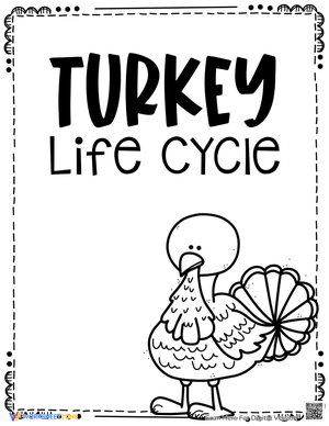 Turkey Life Cycle Worksheets: Science Education