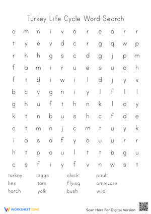 Turkey Life Cycle Word Search - Learn About Turkeys!
