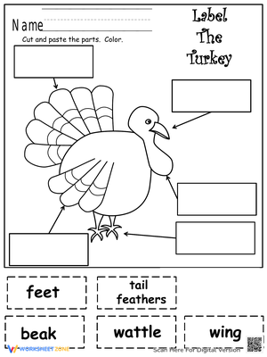 Label The Turkey Parts Worksheet | Grade 3 Essential