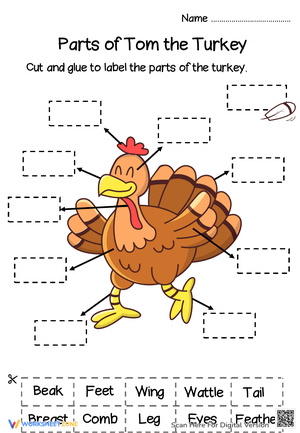 Parts of Tom the Turkey 1