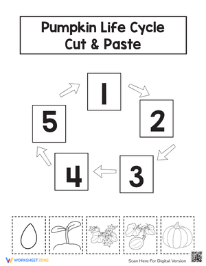 Pumpkin Life Cycle Printable Worksheet | Grade 3 Science