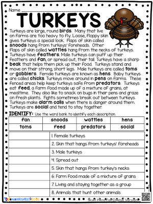 Turkeys Informational Text