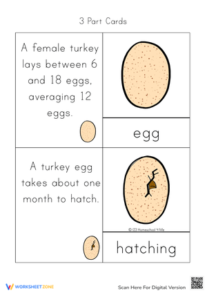 Information Turkey Cards