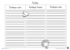 About Turkeys