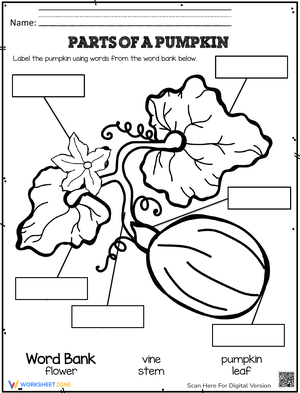 Parts of A Pumpkin Recognization