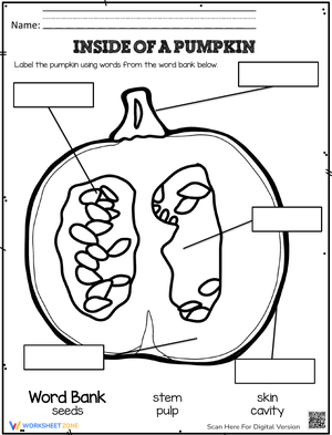 Inside of a Pumpkin
