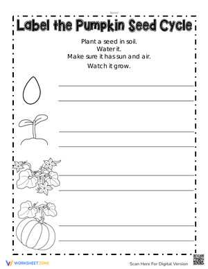 Label the Pumpkin Seed Cycle