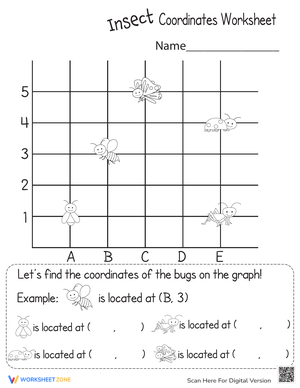 Insect Coordinates Worksheet
