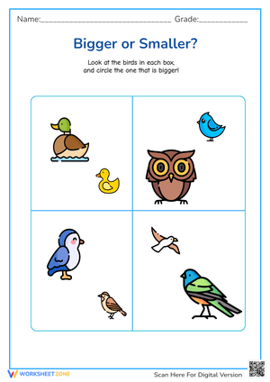 Bigger or Smaller Birds? Size Comparison Worksheet for Pre-K/K