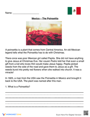 Mexico and the Poinsettia: A Festive History