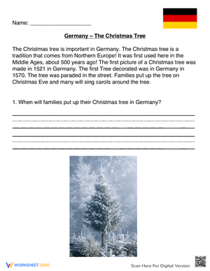 Learn About Christmas Tree Traditions in Germany