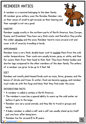 Reindeer Antics: Reading Activities Worksheet