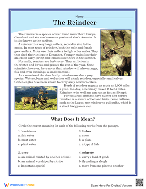 All About The Reindeer Reading Comprehension