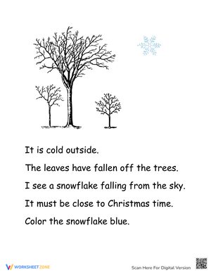 Christmas Reading Comprehension Packet Fun