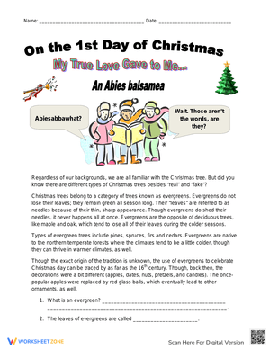 Christmas Tree Activity