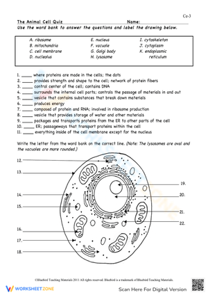 Free Printable &amp; Interactive Animal Cell Worksheets
