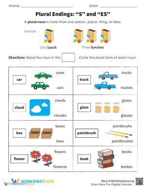 Plurals: Understanding One and More Than One