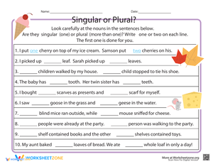 Singular or Plural: Noun Identification Practice