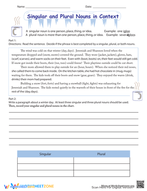 Grammar: Singular and Plural Nouns in Context