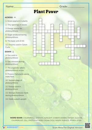 Plant Power Crossword: Photosynthesis & Plant Biology Puzzle