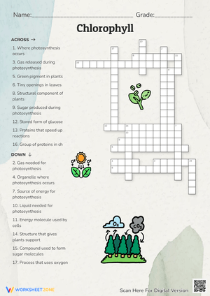 Explore Chlorophyll: The Green Pigment in Plants