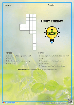 Understanding Light Energy: An Educational Exploration