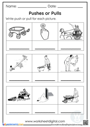 Push or Pull Worksheet