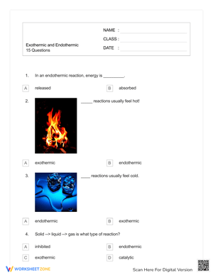 Exothermic and Endothermic Processes