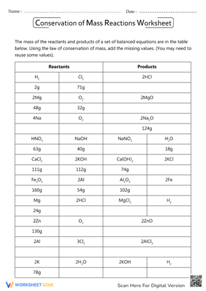 Conservation of Mass Reaction Sheet