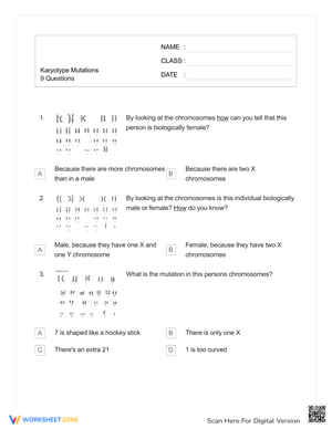 Karyotype Mutations Worksheet