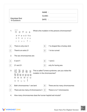Grade 9 Karyotype Answer Key Worksheets 2024 Grade 9 Karyotype Answer Key Worksheets 2024
