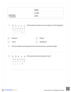 Karyotypes: Basic Quiz Worksheet