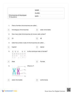 Explore Chromosomes and Karyotypes