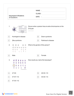 Explore Karyotypes and Mutations
