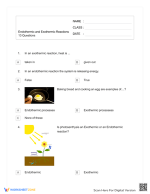 Quiz on Endothermic and Exothermic Reactions
