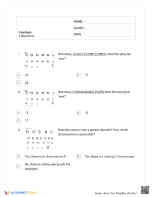Karyotype Worksheet with Answers