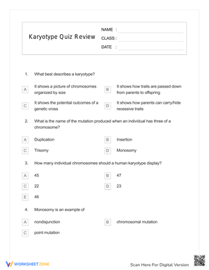 Karyotype Quiz Review