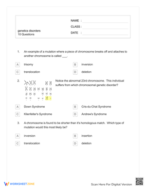 Identify Genetic Disorders with This Worksheet