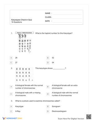 Check-in Quiz: Karyotypes Analysis Worksheet