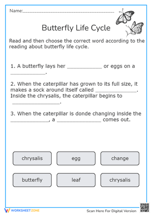 Butterfly life cycle